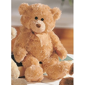ADD-BE19  Gund 棕色經典傳統泰迪熊 Corin 15309 ADD-BE19  Gund 棕色經典傳統泰迪熊 Corin 15309